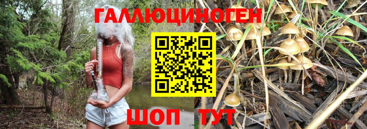 Псилоцибиновые грибы Psilocybe  Вход с VPN  Псилоцибиновые грибы прущие грибы  продажа наркотиков  Лениногорск 