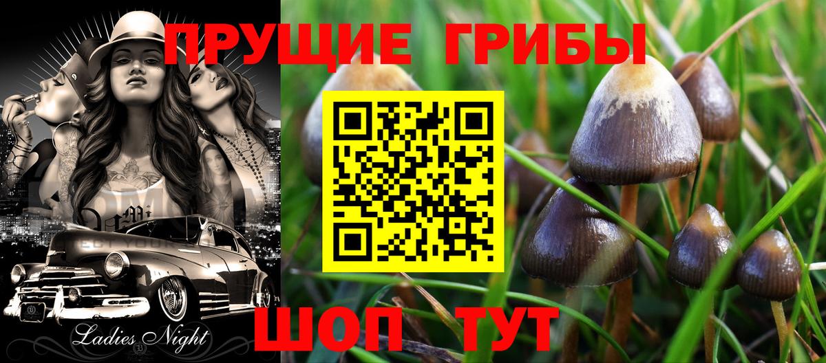 Псилоцибиновые грибы GOLDEN TEACHER Лениногорск